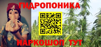 СК Краснознаменск
