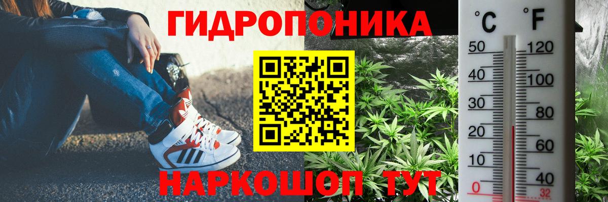 Шишки марихуана OG Kush  Каннабис план  Вход с VPN  МАРИХУАНА сатива  Когалым 